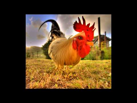 Patric La funk Dj EiMiS rmx