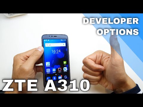 Developer Options ZTE A310