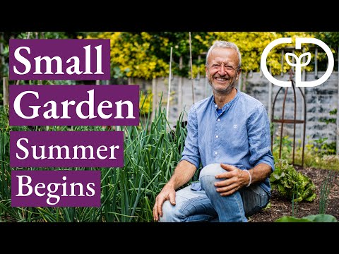 , title : 'Small Garden Harvests and Successions in Early Summer'