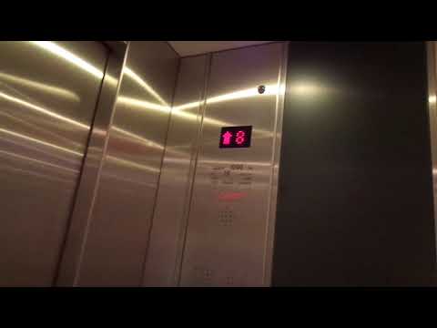 Boring 2016 Generic Lutz MRL Traction Elevator @ Tallink M/S Megastar