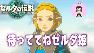 【初見/途中】ゼルダ姫！うぉぉぉ！いけません！【積みゲー消化期間】