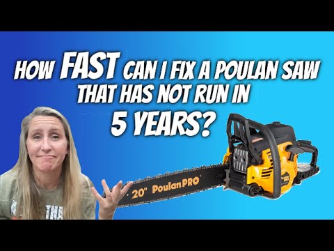 Will it run? How to fix a Poulan chainsaw that has been sitting for YEARS