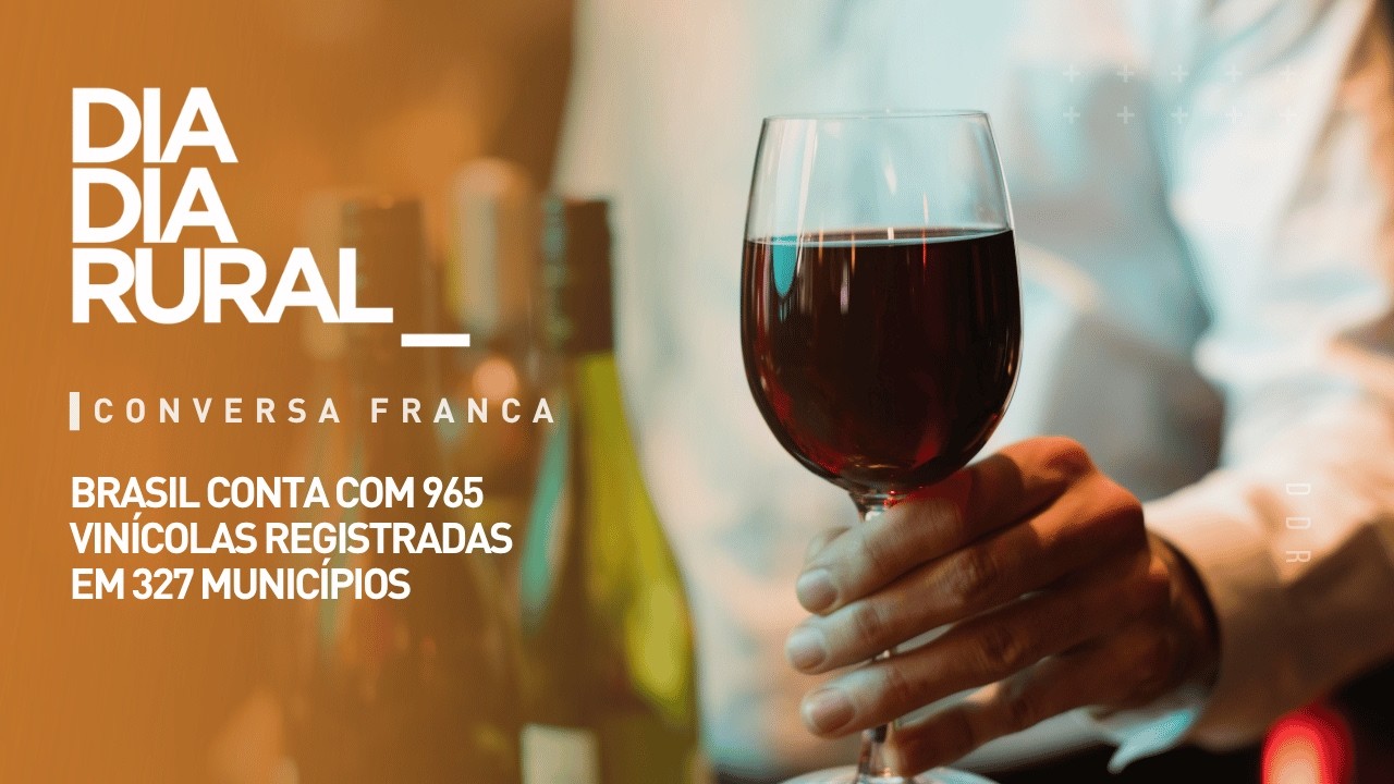 Brasil conta com 965 vinícolas registradas em 327 municípios