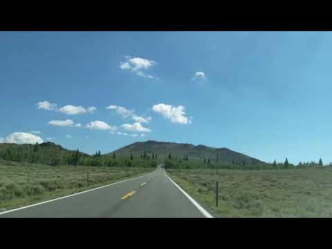 Thomas Hien "Blue Bird Day"