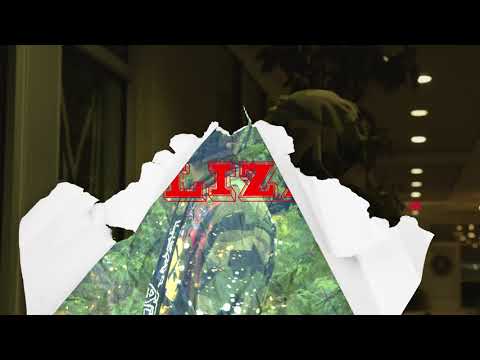 Blizzy- Rock (Music Video)