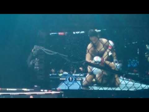 Аліса Данюк перемога в 1 раунді