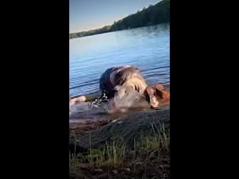 71-year-old charged after alleged attempted drowning