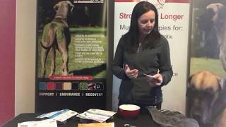 Feeding your Puppy raw with Prime100