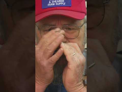 Old Man rips on Harmonica