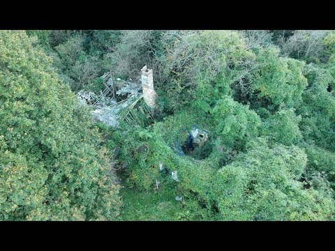 A TERMÉSZET MINDIG GYŐZ: EGY TANYAVILÁG PUSZTULÁSA