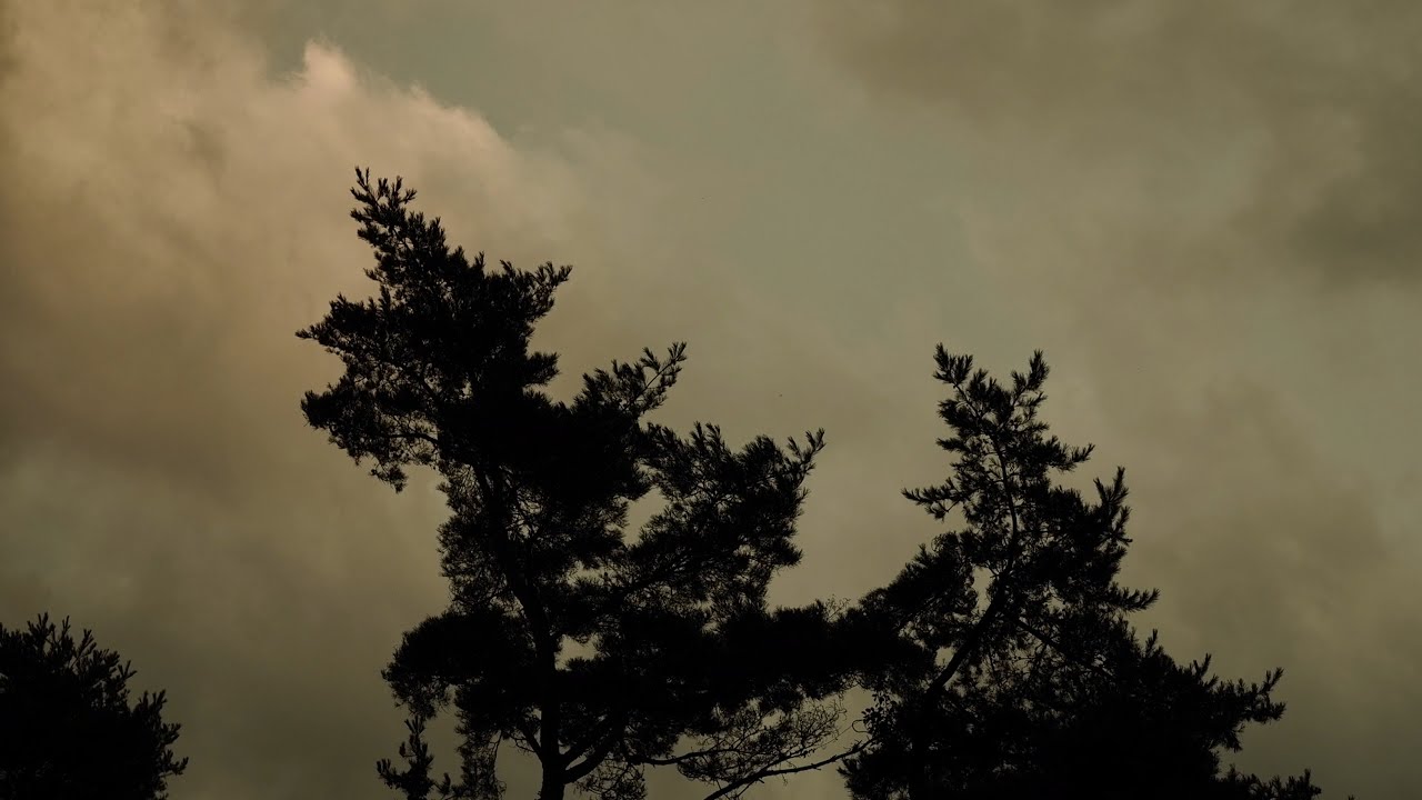 Vorschau: Youtube-Video