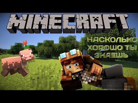 Как хорошо ты знаешь Майнкрафт? Тест о том, насколько хорошо ты знаешь Майнкрафт