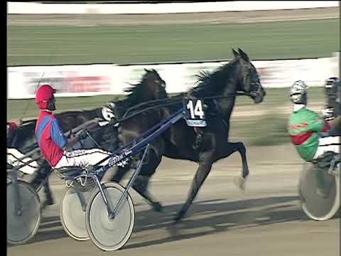 Trotto 20/10/2017 - 4ª corsa