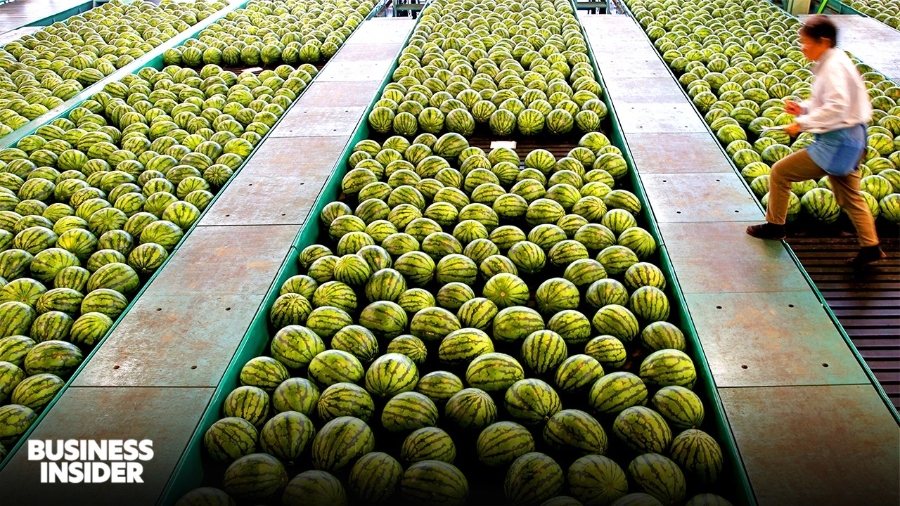 Where America Imports $100+ Billion Of Food From A Year | Business Insider