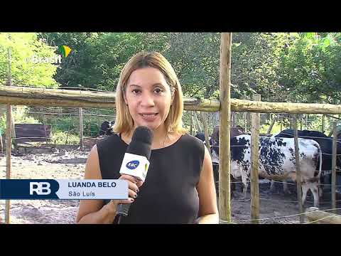 , title : 'Maio marca o início da vacinação do gado contra a febre aftosa'