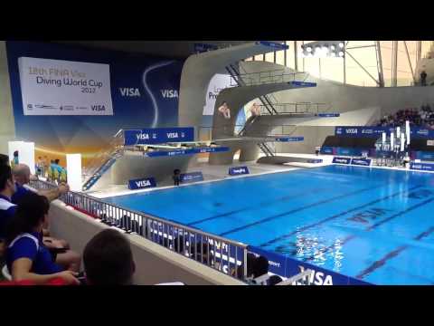 Fina World Cup Team Canada 307c for 84 points