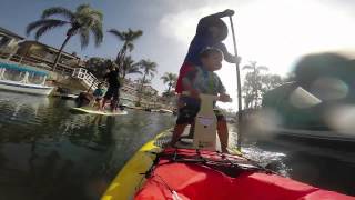 preview picture of video 'Chasing Dolphins on the SUP Pup Paddleboard Seat - paddle boarding with kids'