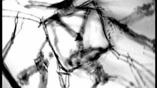 12. Die Toten Hosen - Nichts bleibt für die Ewigkeit 1995