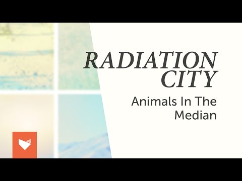 Radiation City - Animals in the Median (Official Full Album Stream)