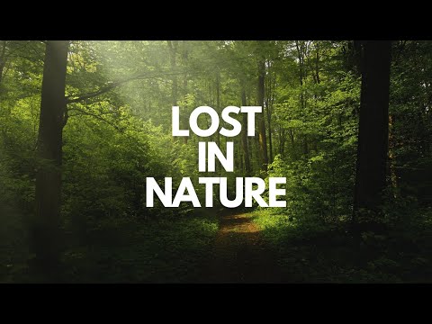 Lost In Nature || Calm Music || Nazmul Islam Nayeem