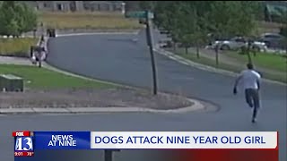 Two dogs attack girl on bike; neighbor steps in