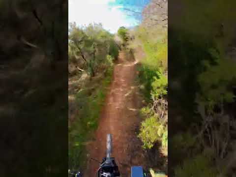 MTB - Castiglione della Pescaia - Punta Ala - Torretta Trail - Ottobre 2022