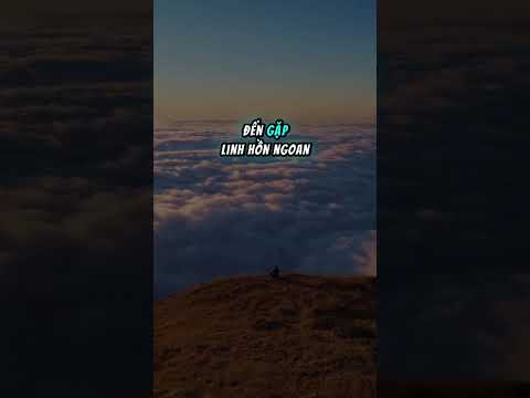  #271 NHỮNG LINH HỒN TỐT ĐẸP SẼ GẶP ĐƯỢC NHỮNG LINH HỒN TỐT ĐẸP KHÁC Ở NGÀY SAU