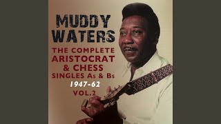 Muddy Waters Twist