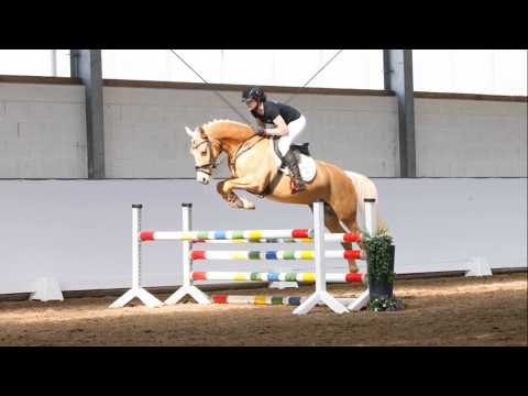 CASSIOPEIA 7j. Palominostute v. Casino Royal K WE SPRINGEN