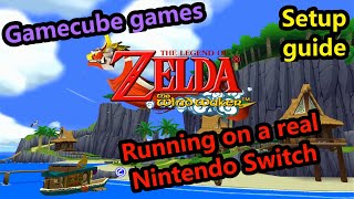 Play any GameCube game on Nintendo Switch - [Lakka] Setup and Gameplay