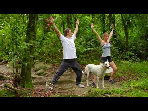 Misty Mountains Rainforest Retreat - 30 sec TVC