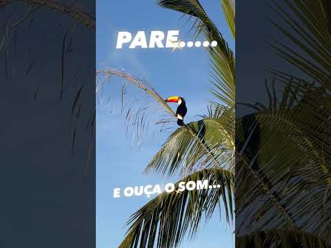 Pare e Ouça o Som!#hidrolandia #goias #goiania #aparecidadegoiania #Investimento #shorts
