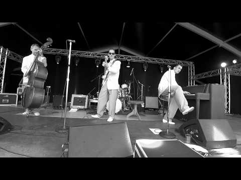 RAY ALLEN AND HIS BAND - COTTONPICKIN' (Mickey Hawks & The Night Raiders) - Vintage Festival Belgium