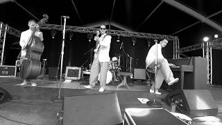 MICKEY HAWKS & THE NIGHT RAIDERS – COTTONPICKIN‘