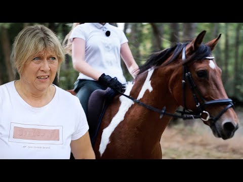 Gefährliches Ausreiten - Mit schreckhafter Scheckstute Chyka ins Gelände - Reiterin sucht Hilfe