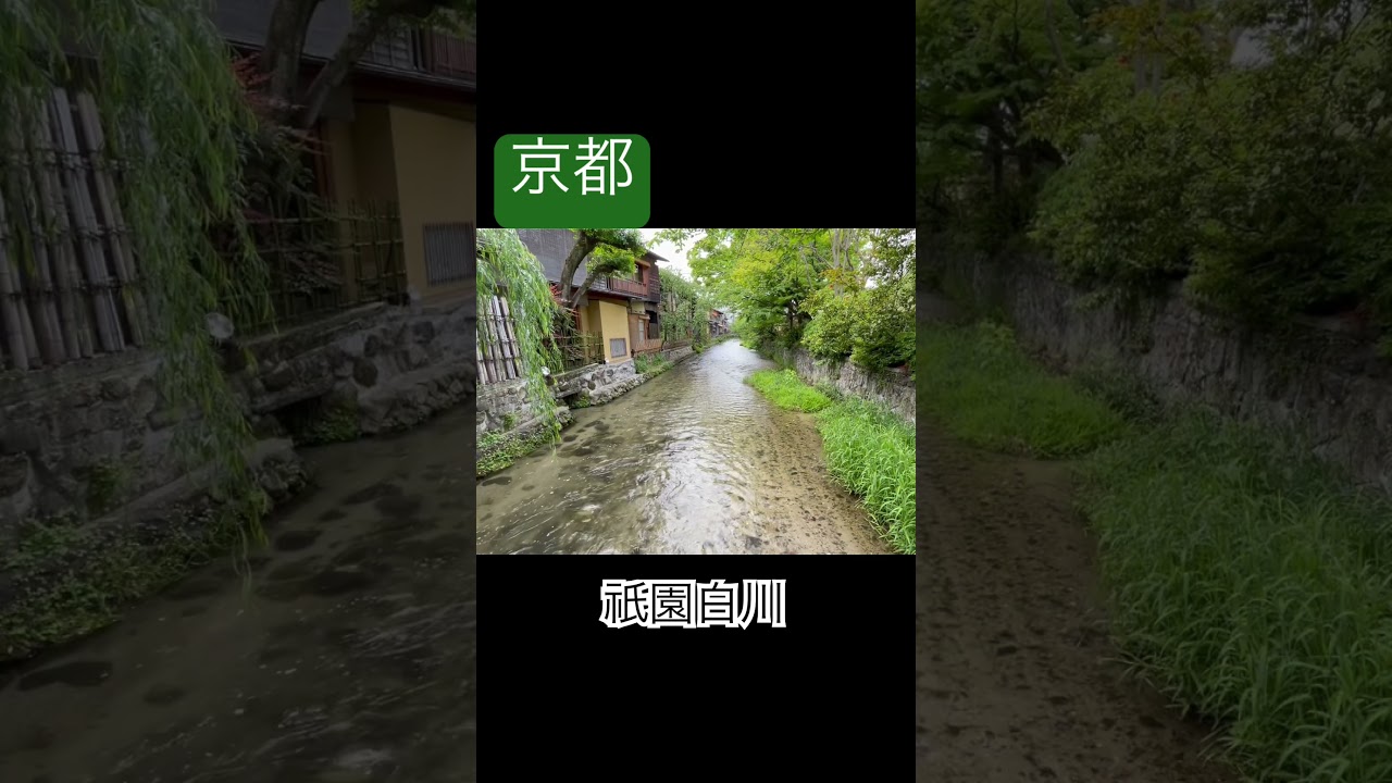 京都名所 祇園 白川筋