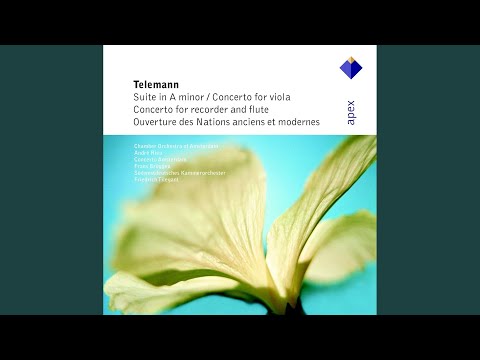 Concerto for Recorder and Flute in E Minor, TWV 52:e1: II. Allegro