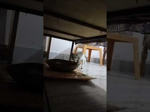 November 22, 2022(4)