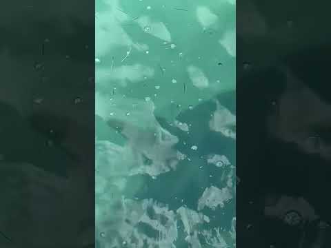 Hai Becken wach geworden #Mexico