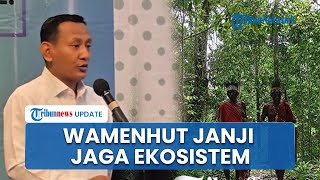 Pelepasan Hutan 500 Ribu Hektare di Papua untuk PSN Tuai Sorotan, Wamenhut Janji Jaga Ekosistem