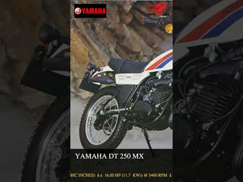 Yamaha DT 250 MX - Video 1