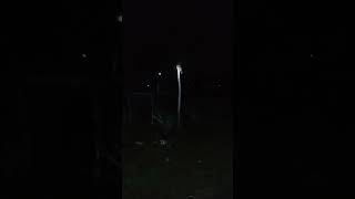 Download lagu PENAMPAKAN BURUNG YANG BERBUNYI PADA MALAM HARI mp3 Download lagu PENAMPAKAN BURUNG YANG BERBUNYI PADA MALAM HARI mp3