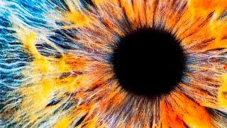 Your Mind Is So Powerful It Creates Your Reality: What Isaac Lidsky Learned by Going Blind at Age 25