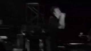 &#39;Tongue&#39; - Tour de Flock