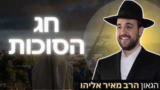 הרב מאיר אליהו | חג הסוכות | מוסאיוף (הרב מאיר אליהו) - התמונה מוצגת ישירות מתוך אתר האינטרנט יוטיוב. זכויות היוצרים בתמונה שייכות ליוצרה. קישור קרדיט למקור התוכן נמצא בתוך דף הסרטון