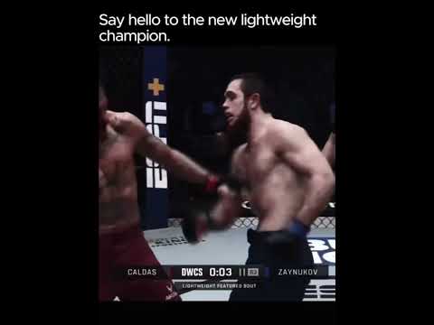 ufcclips video artwork