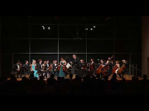 iPalpiti Salzburg 2017