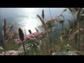 The Chieftains - The Morning Dew 