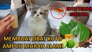 Download lagu MEMBUAT OBAT KUTU KUCING YANG AMPUH DAN ALAMI mp3 Download lagu MEMBUAT OBAT KUTU KUCING YANG AMPUH DAN ALAMI mp3