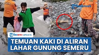 Geger! Warga Lumajang Temukan Potongan Tubuh di Aliran Lahar Gunung Semeru saat Cari Orang Hilang
